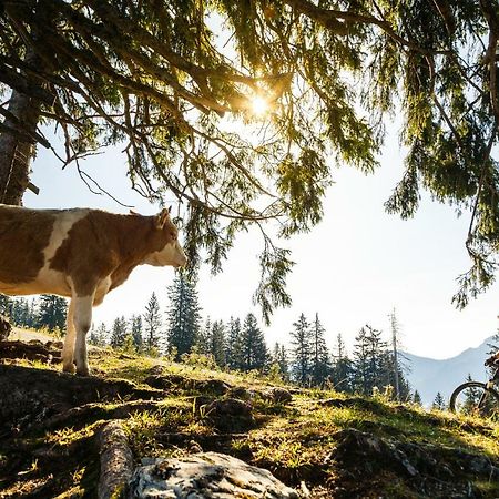 Ferienwohnung Schifterhof Ruhpolding Bagian luar foto